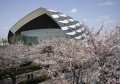 日本将在马拉松赛道沿途装饰＂冷藏樱花＂ 欢迎选手